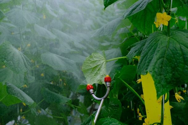 ручные штанги